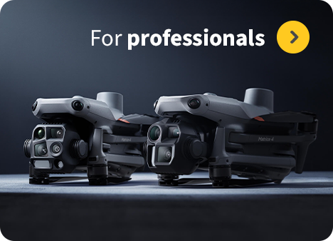 Professional drones Professional drones
