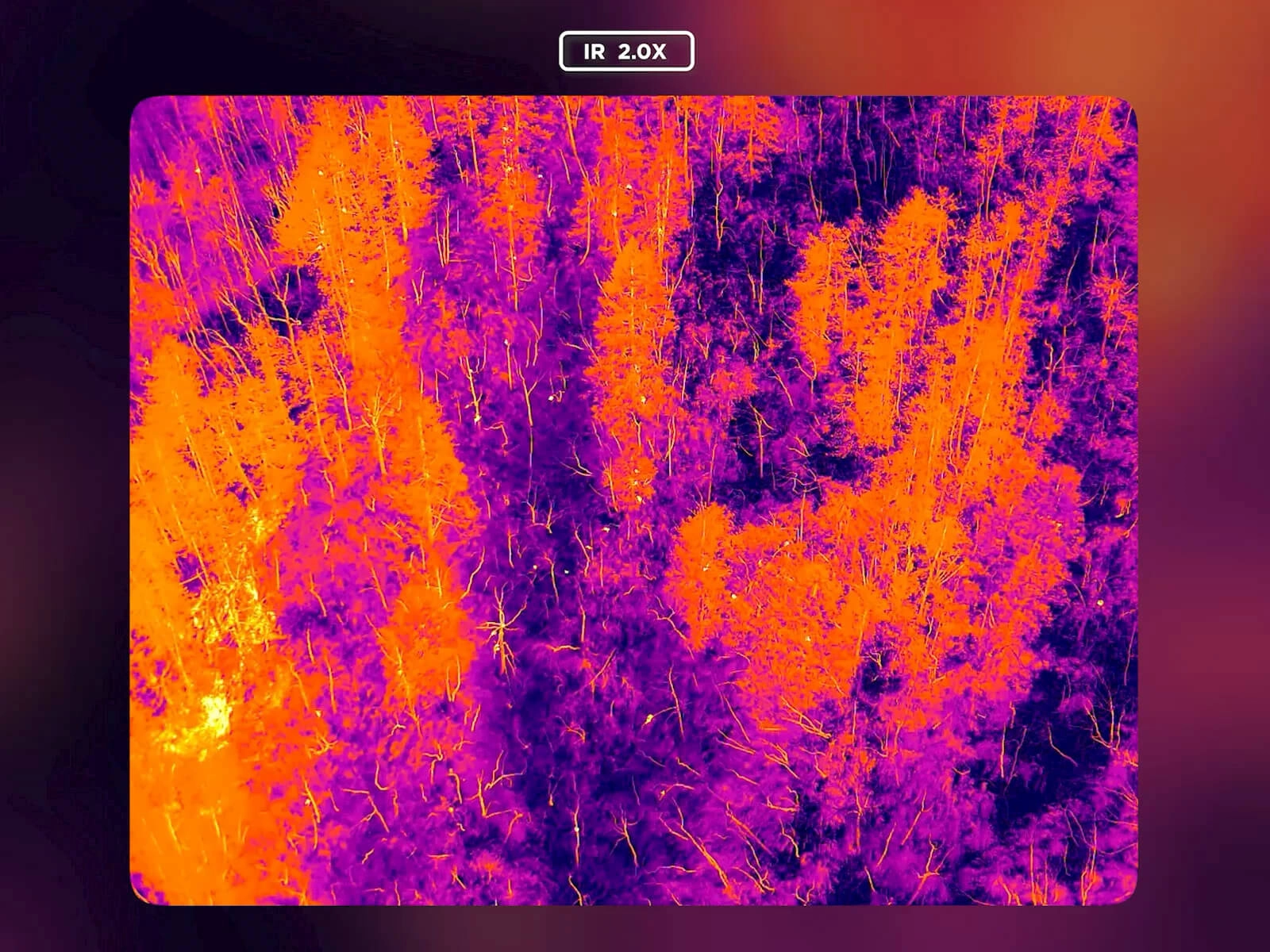 Zenmuse H30T thermal imaging image