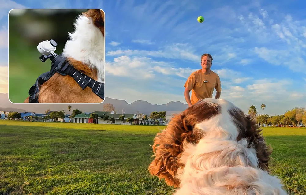 Durable Insta360 pet harness Size S for small pets
