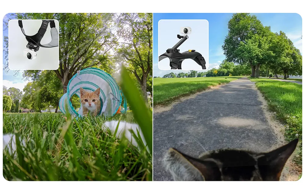 Pet camera harness with chest and back mounting options