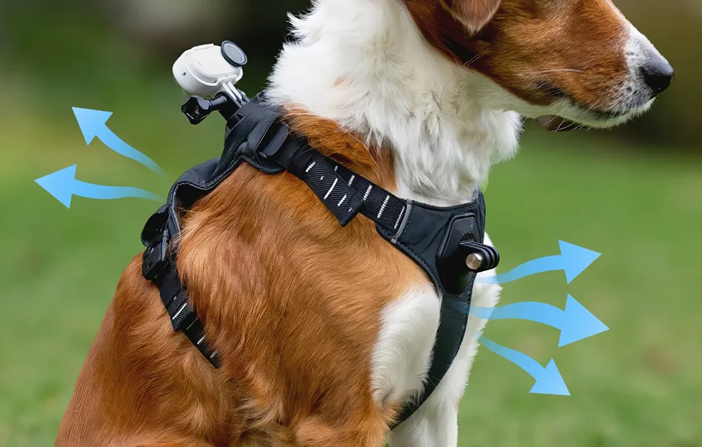 Comfortable adjustable pet harness for Insta360 GO 3 and GO 3S