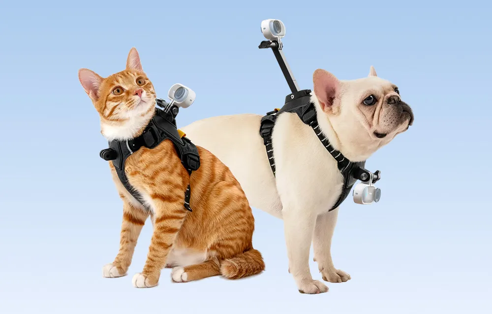 Pet harness Size S for Insta360 GO 3 and GO 3S camera mount