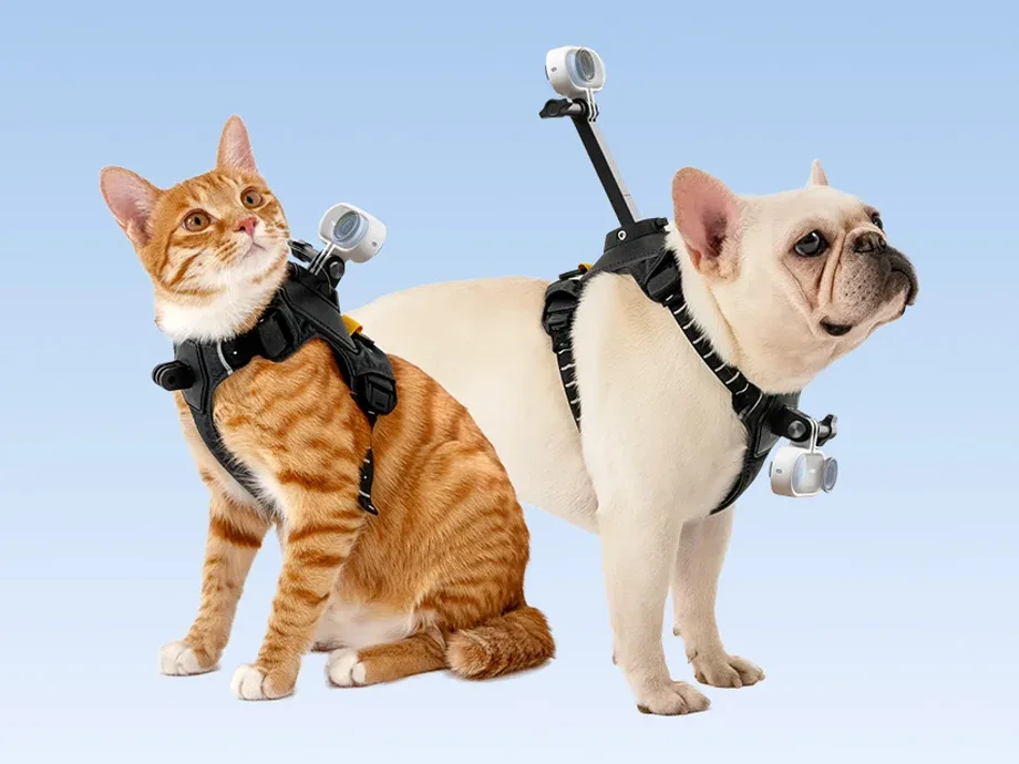 Pet harness for Insta360 GO 3 and GO 3S camera mounting - size M