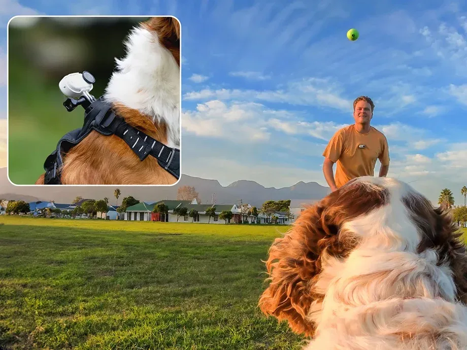 Durable washable pet harness for Insta360 GO 3 and GO 3S