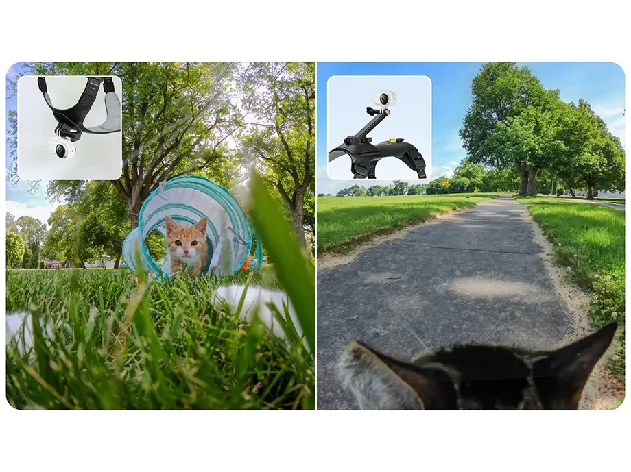 Pet camera harness with chest and back mounting options