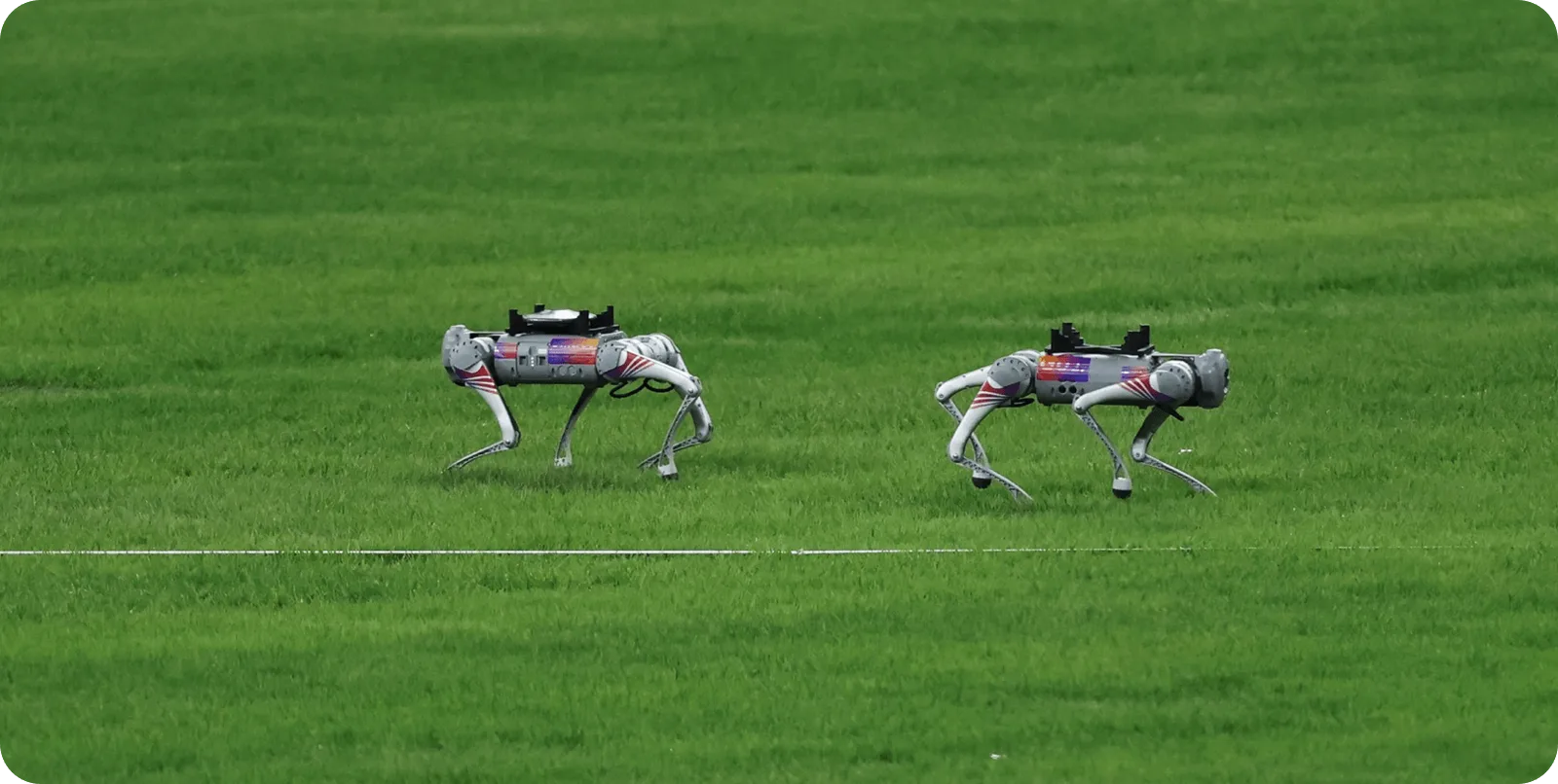 Roboty Unitree podczas ruchu