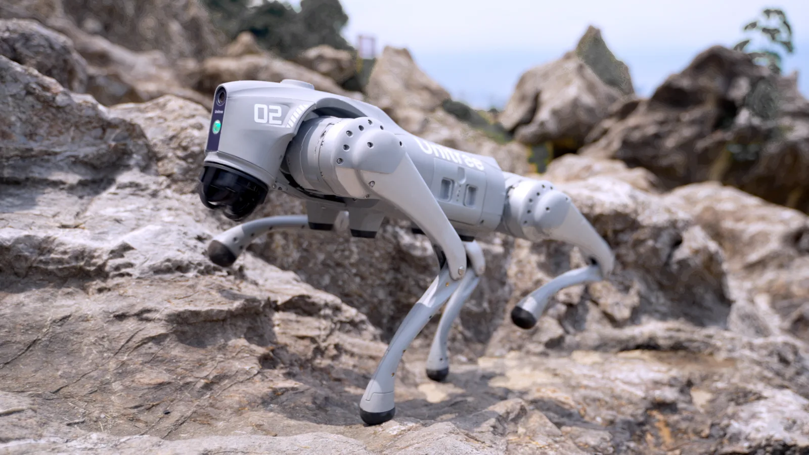 Unitree Go2 Air quadruped robot during testing