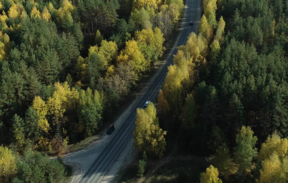 Road cutting through a green forest