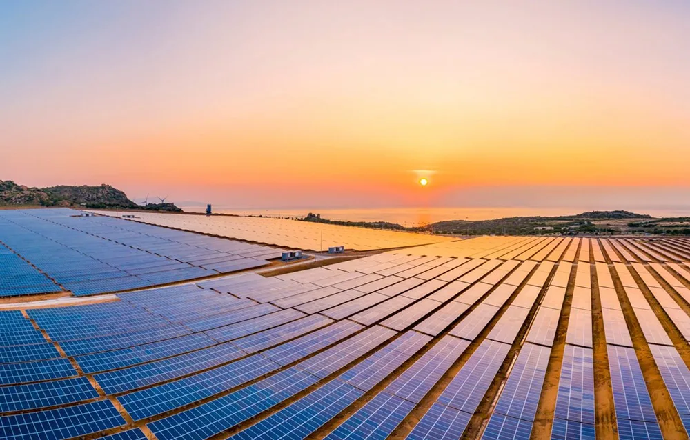 Large solar farm at sunset