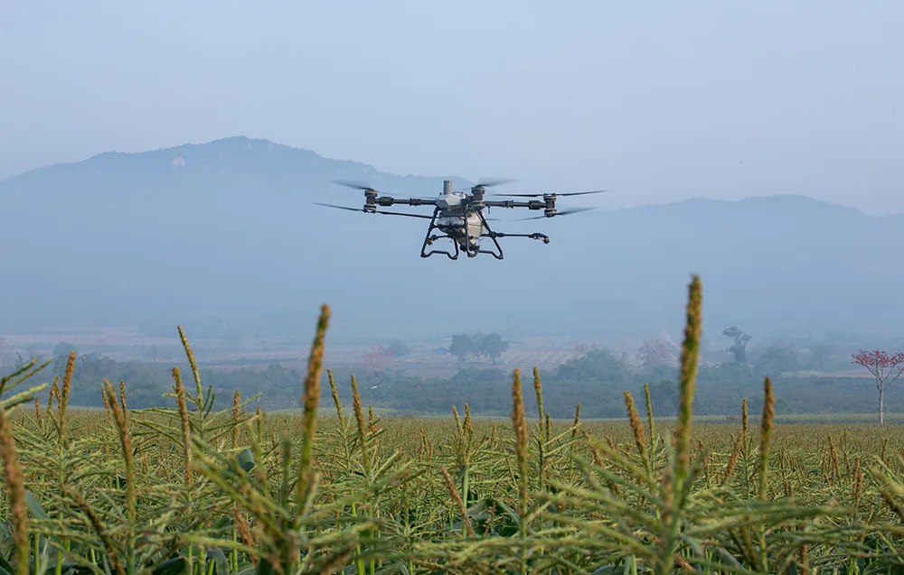 Dron DJI Agras T100 w locie nad polem
