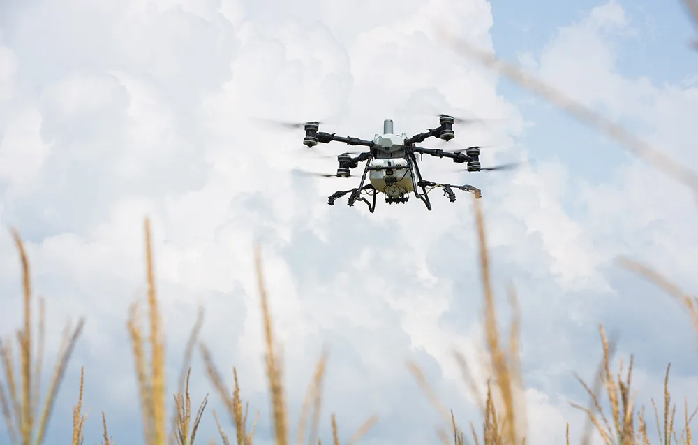 Dron rolniczy w locie nad zbożem na tle białych chmur
