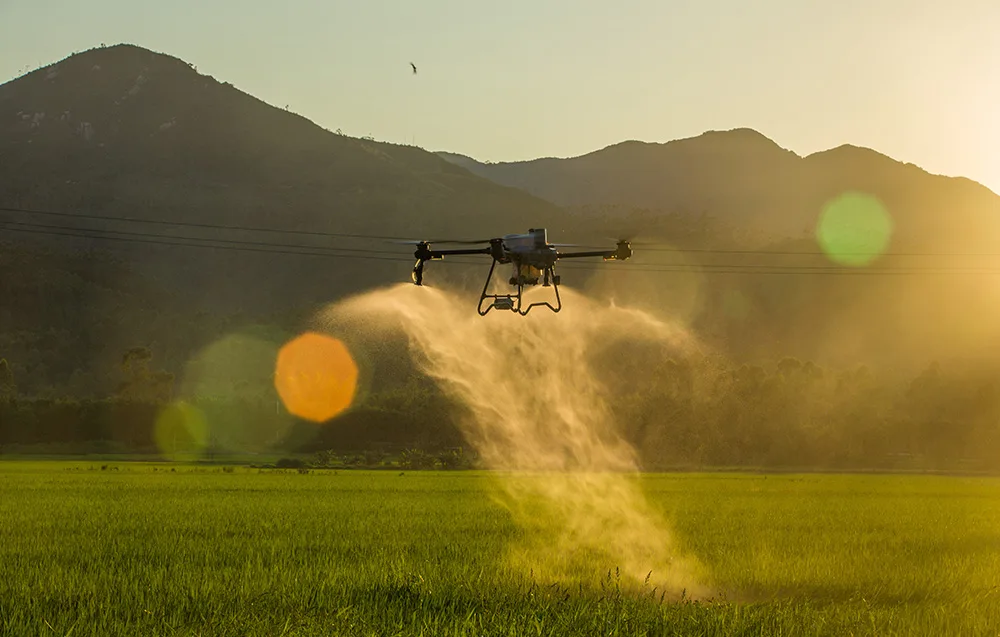Dron rolniczy opryskujący pole o zachodzie słońca
