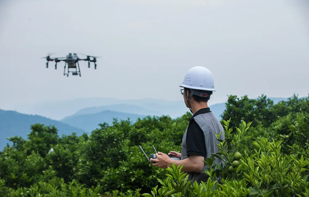 Operator w kasku stojący wśród roślinności i sterujący dronem rolniczym