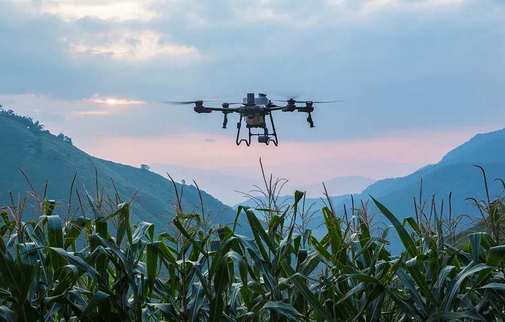 Dron rolniczy w locie nad polem kukurydzy na tle gór o zmierzchu