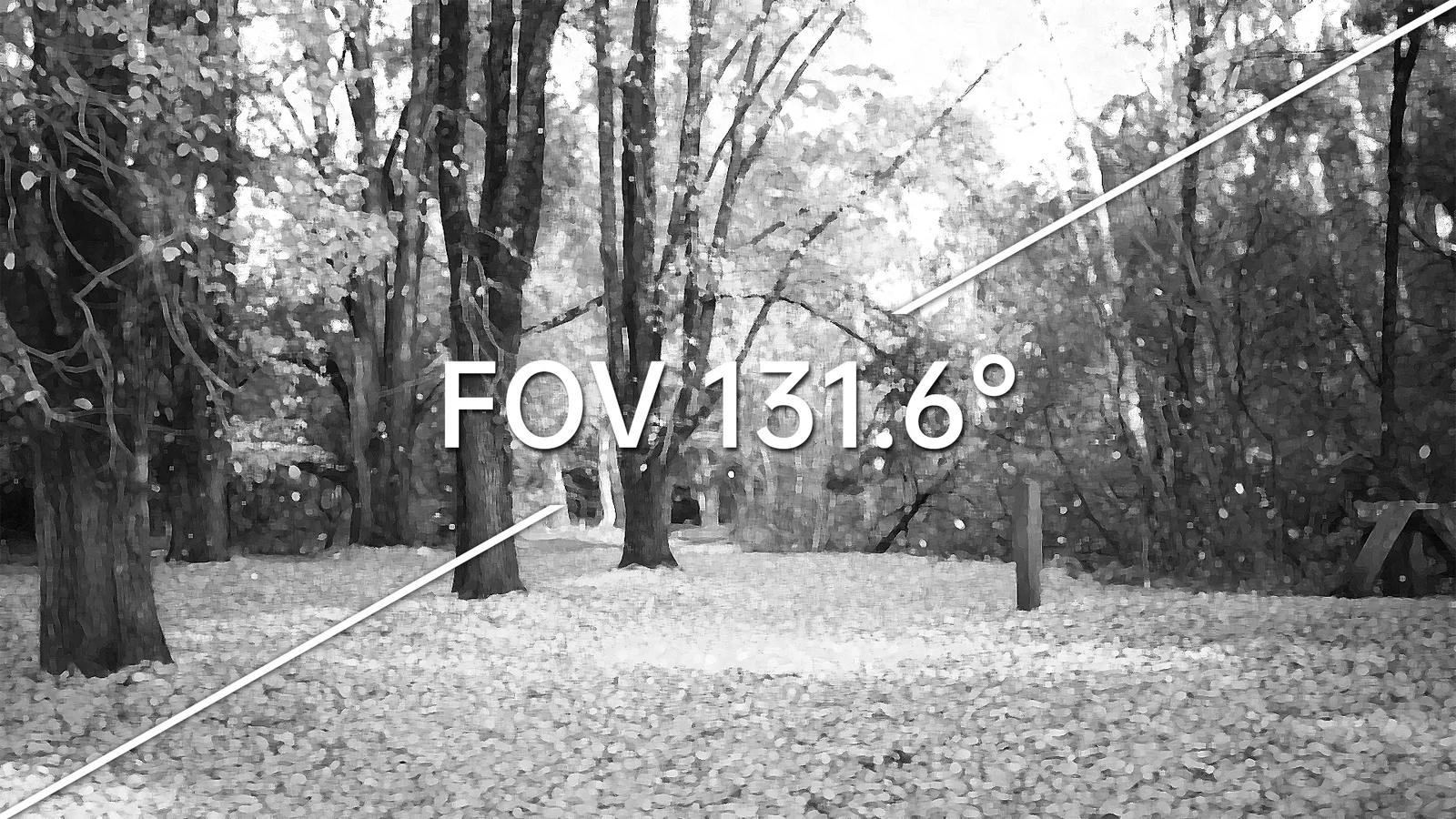 CADDXFPV Infra V2 ultra-wide lens view