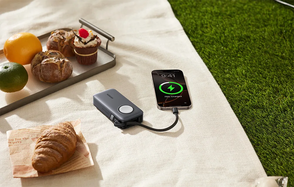 Power bank connected to a smartphone on a picnic blanket next to a tray of food