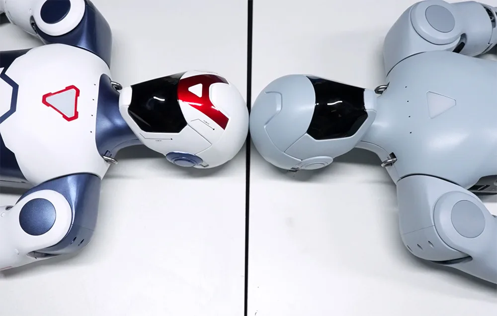 Two UNITREE R1 Basic humanoid robots lying on their backs with their heads touching