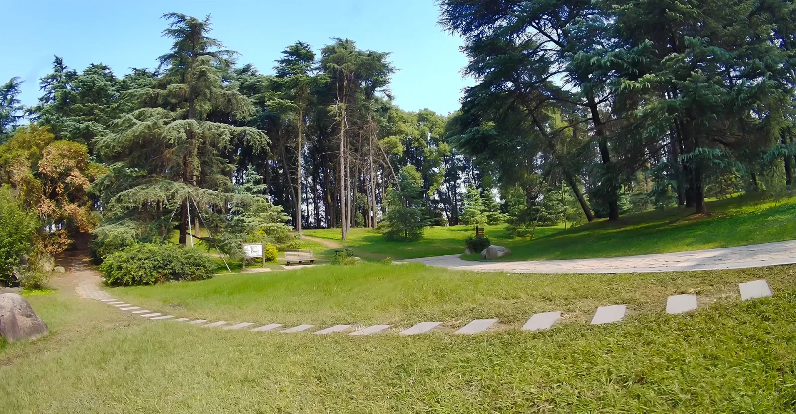 Moonlight Avatar HD camera with built-in EIS and Gyroflow support