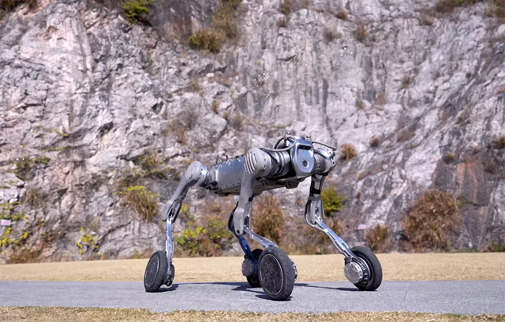 UNITREE B2-W quadruped robot standing on a hardened path below a rocky cliff