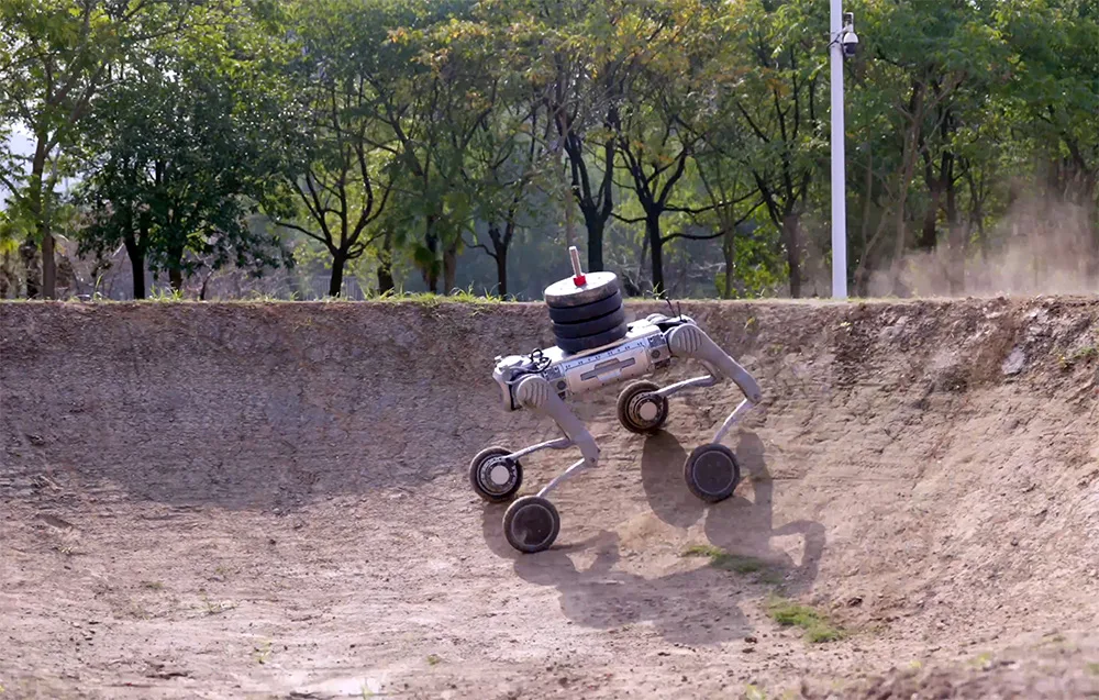 UNITREE B2-W four-wheeled quadruped robot driving on an outdoor forest test track