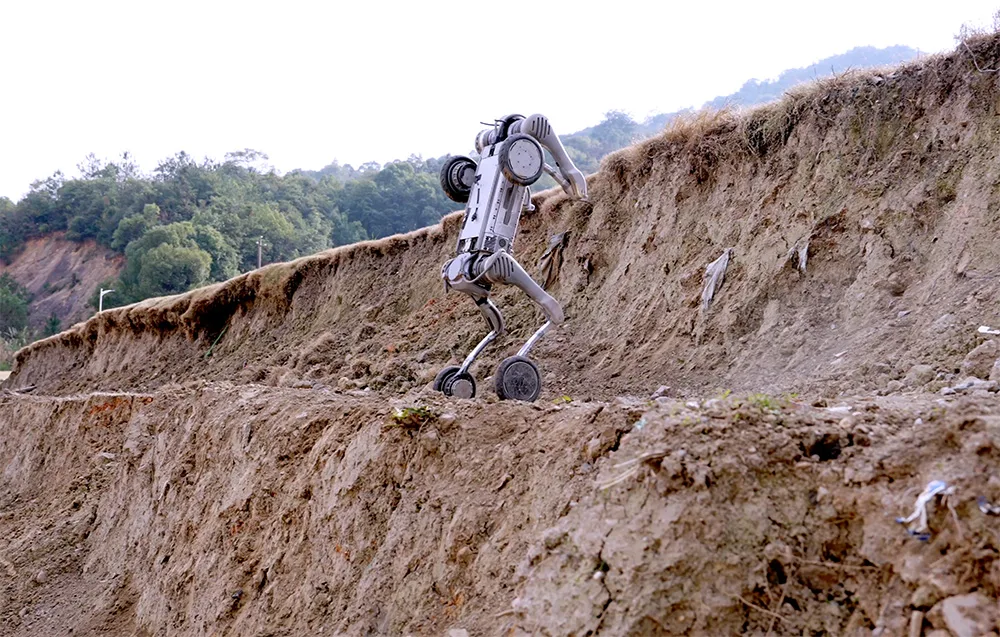 UNITREE B2-W wheeled quadruped robot climbing uphill