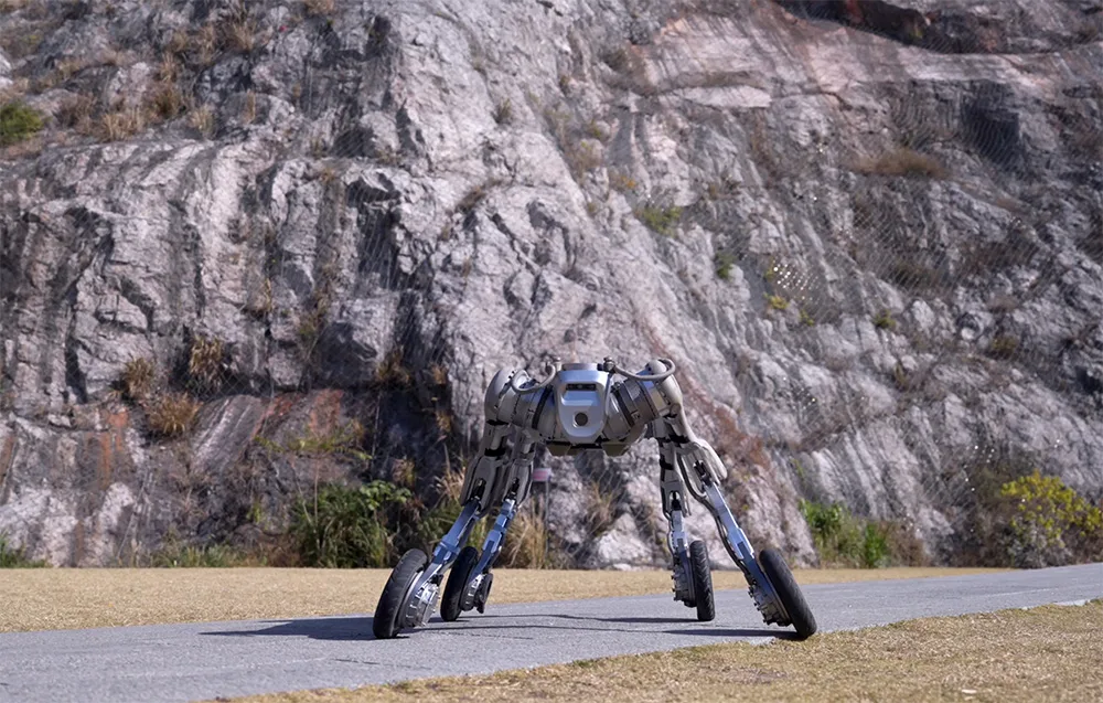 UNITREE B2-W wheeled quadruped robot standing on asphalt near a rocky cliff