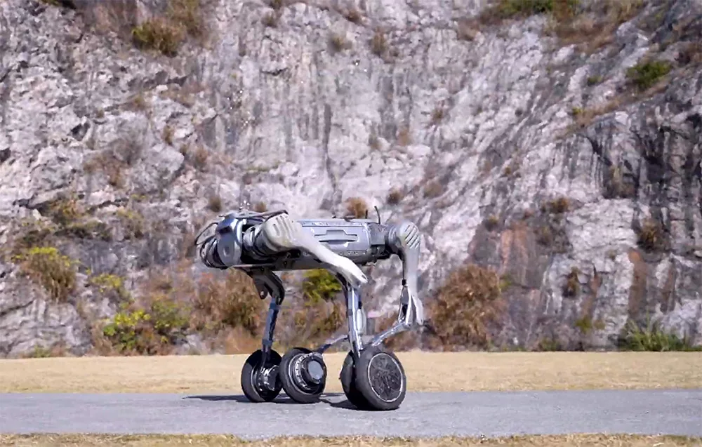 UNITREE B2-W robot standing on asphalt in front of a bright rocky wall