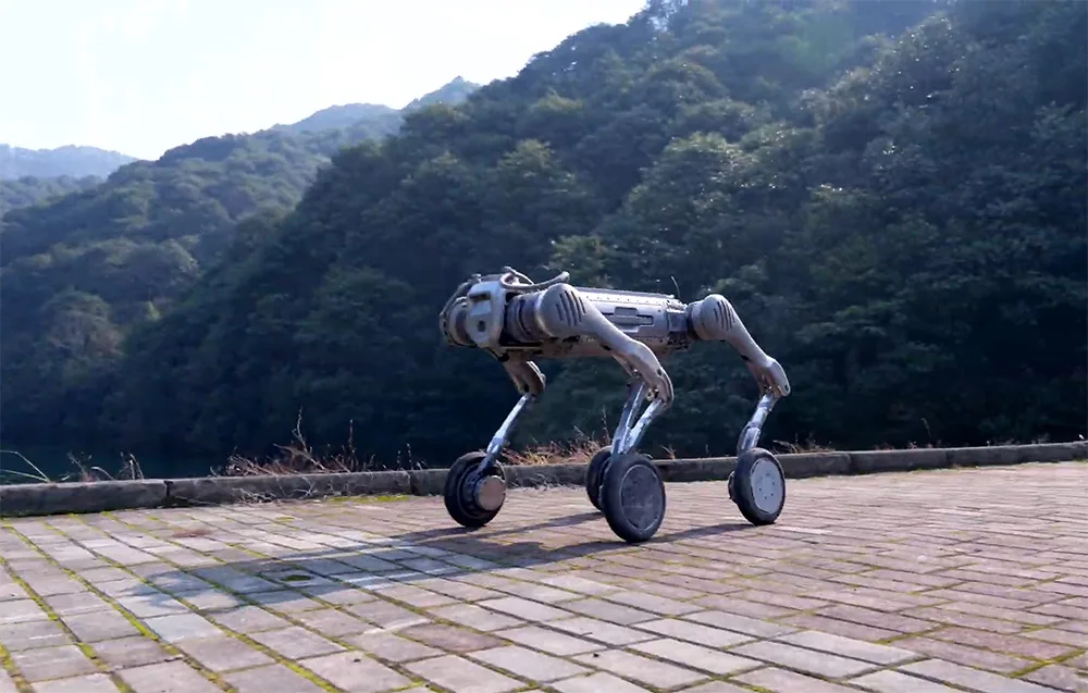 UNITREE B2-W wheeled robot driving on paving stones with a forested hill in the background