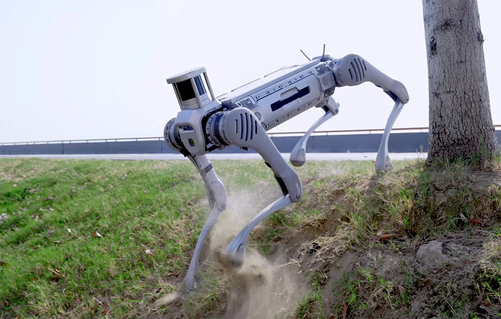 UNITREE B2 quadruped robot descending a steep grassy slope