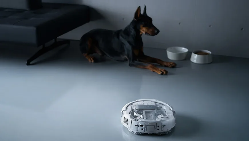 DJI ROMO robot vacuum on the floor next to a resting dog and pet food and water bowls