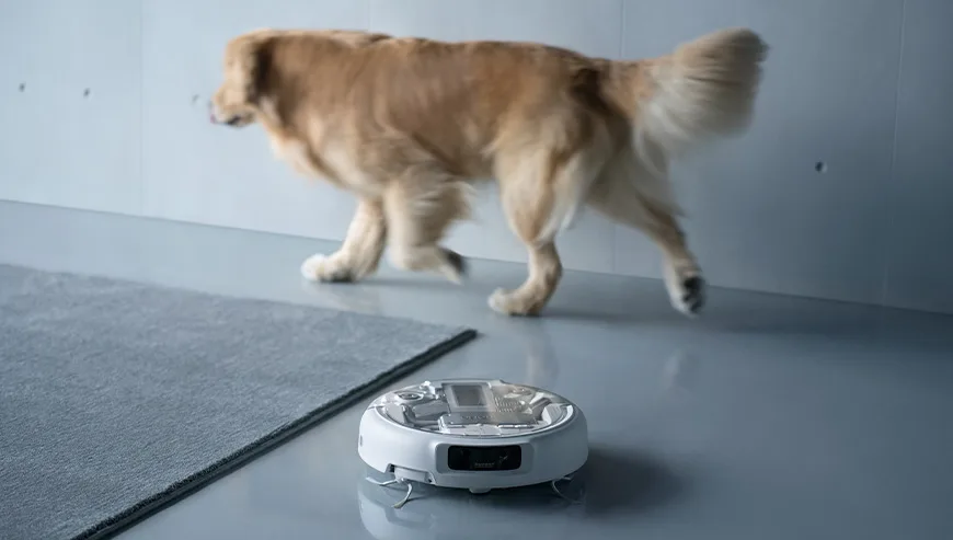DJI ROMO robot vacuum moving across the floor with a dog walking near a carpet in the background