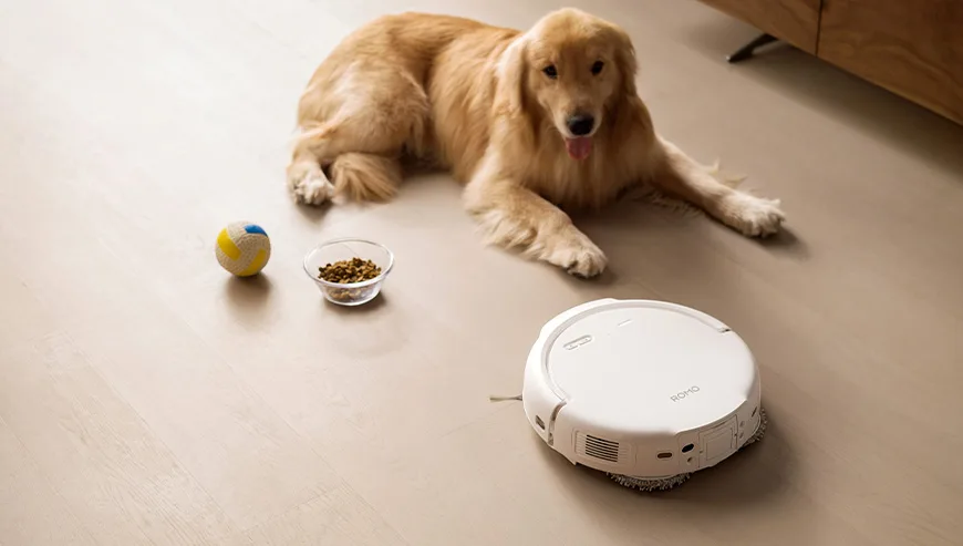 Pies rasy golden retriever leżący na podłodze obok robota sprzątającego ROMO, piłki i miski z karmą