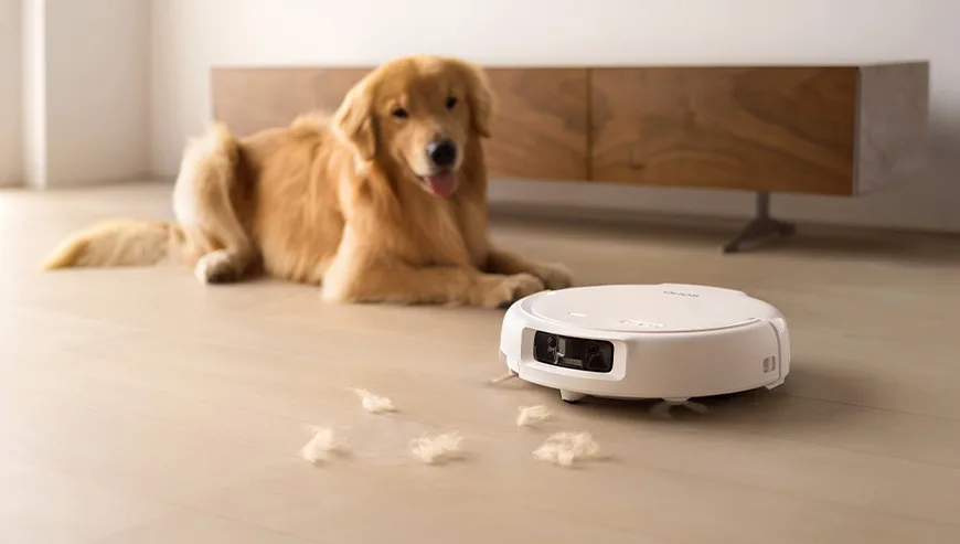 Robot sprzątający ROMO zbiera kłęby sierści z podłogi, a w tle leży pies rasy golden retriever