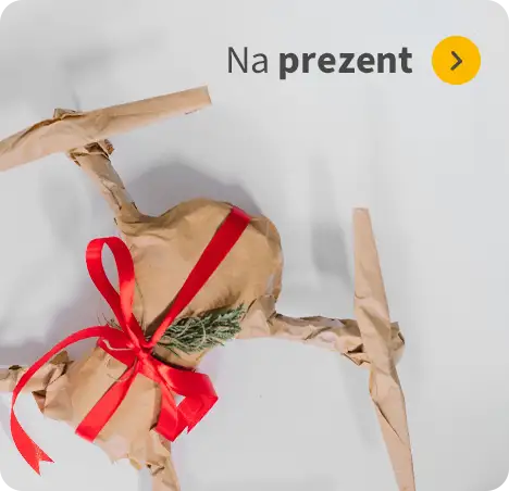 Na prezent